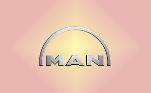 ✓ MAN 81.45905.0145 Запчасти МАН (MAN) 