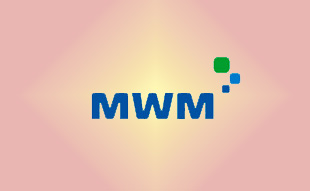 ✓ MWM 0228 3474 Запчасть MWM 